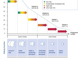 5 CKD stages and related symptoms